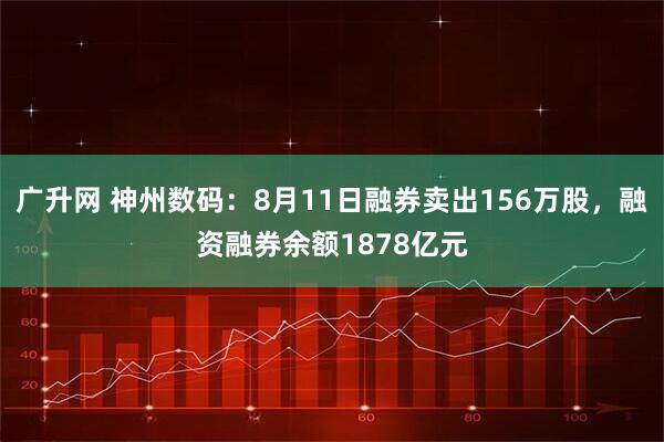 广升网 神州数码:8月11日融券卖出156万股,融资融券余额1878亿元