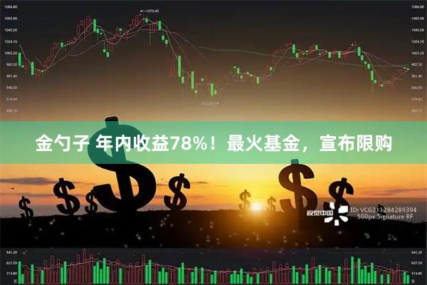 金勺子 年内收益78%！最火基金，宣布限购