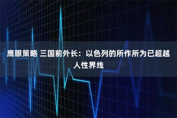 鹰眼策略 三国前外长：以色列的所作所为已超越人性界线